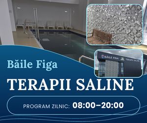 BaileFiga